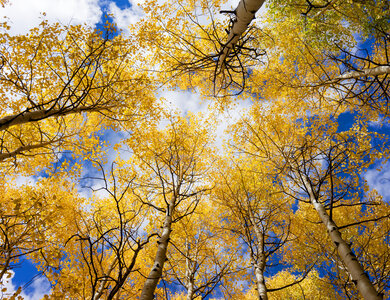 Podzimní nabídka: 1 noc se snídaní zdarma